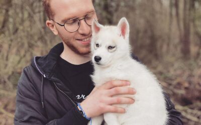 Comment bien accueillir son chiot au sein du foyer ?